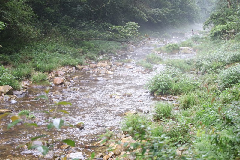D019金鞭溪.JPG