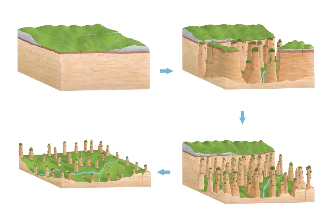 1774189391106103.jpg 未命名 -1(1).jpg