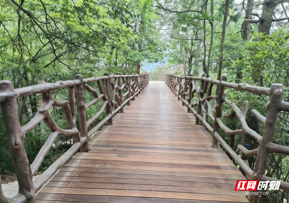 1774228147252596.png d52476d93eec63dce4b75a184529e8df.png