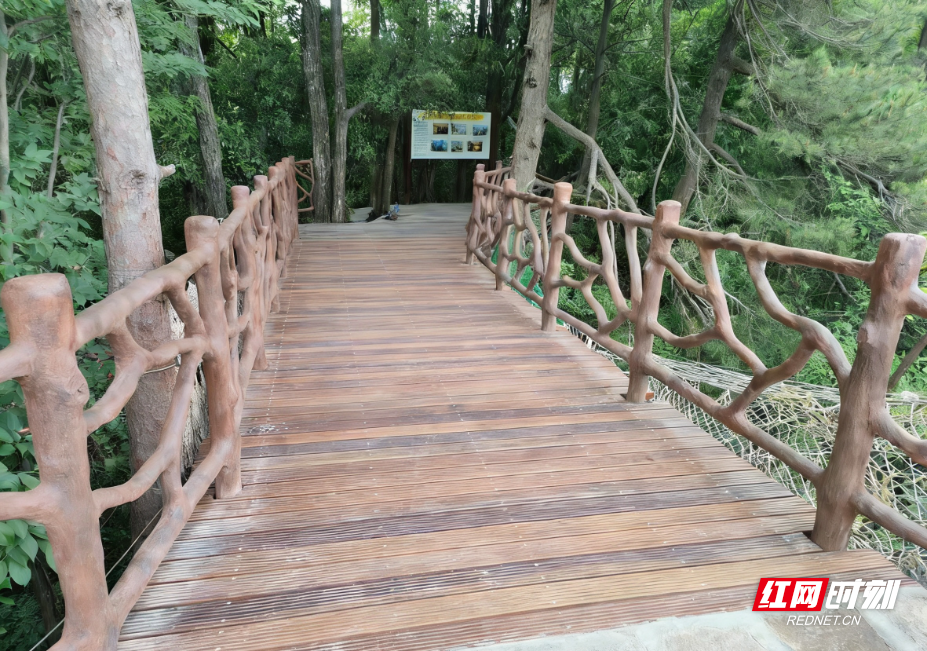 1774228192490002.png 5bb56188ab7cae9538c2b2e4ae0cadcc.png