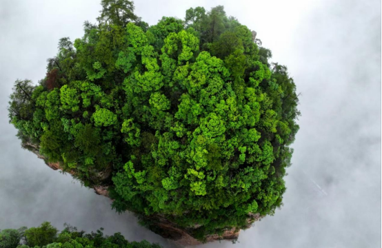 1774254038128002.png e5b1c7e1fb2eb46e4846c4782f72825b.png