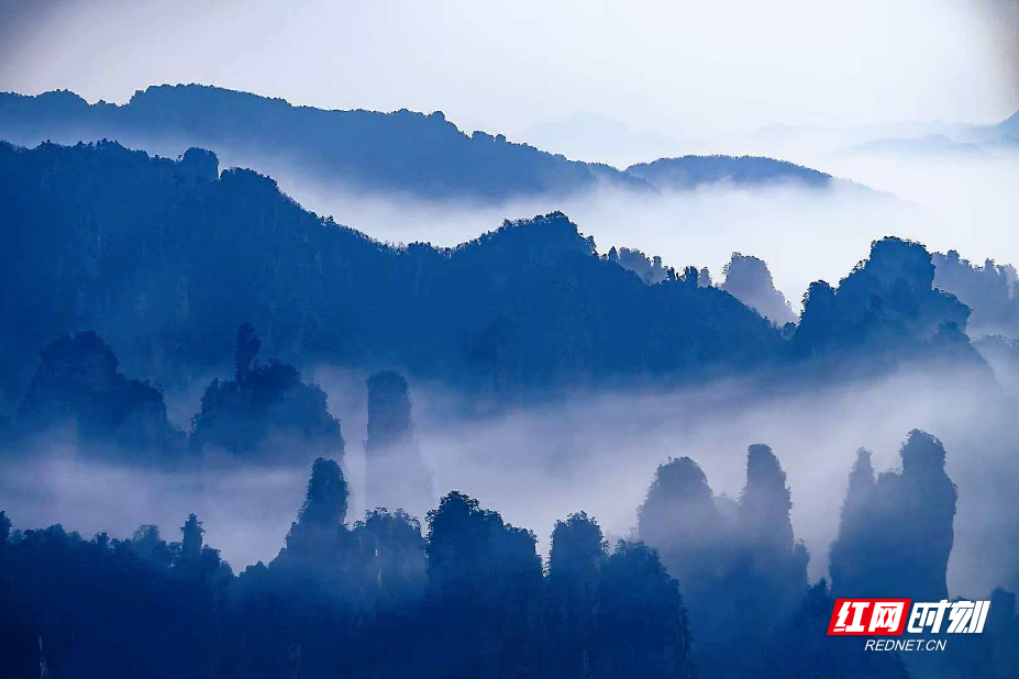 1774405636120235.png b1dec668b7c5a393807ba3ca8d456fe6.png