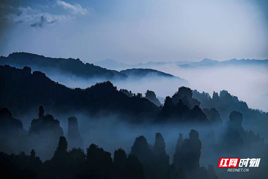 1774405648546718.png 74761001b88cda27d4ecc7f99d2789a2.png