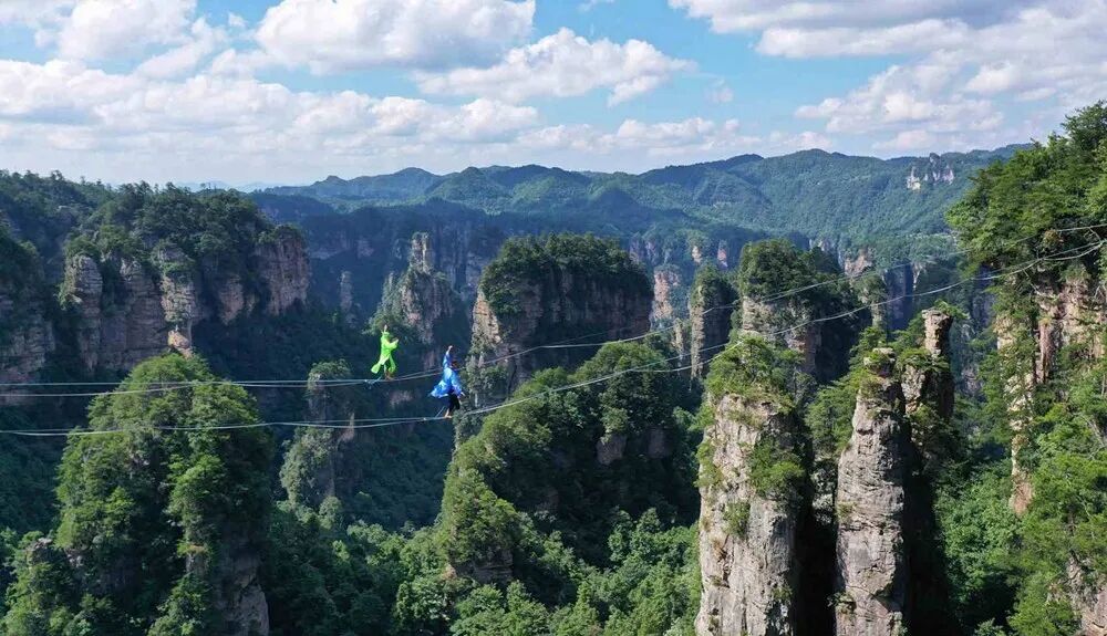 1775114604109533.jpg 4539c6bf6146efc4da09e368d74935fa.jpg