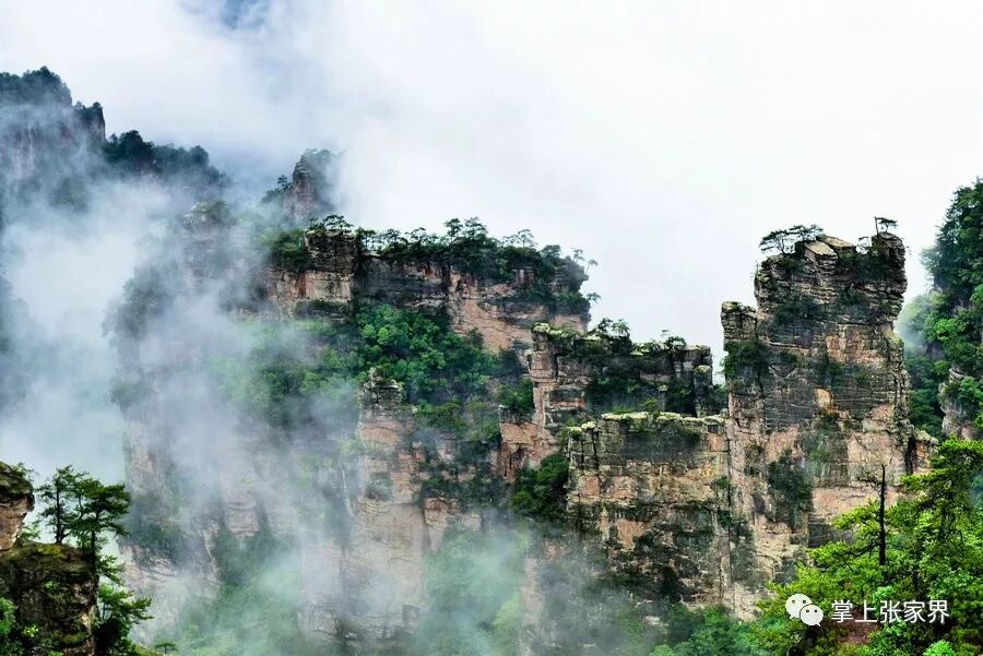 1776044412508592.jpg d8cf5761b46ba71a68a173e0e4ab73e9.jpg