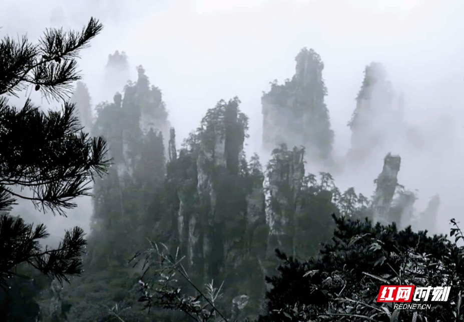 1777180185533378.png dd9386a326016bf1d143cb9389e17ff0.png