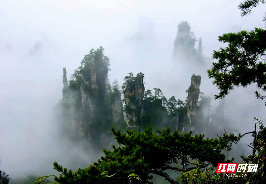 1777180204579035.png 9b30aec81f7c1f702bc4adc838dce2a0.png