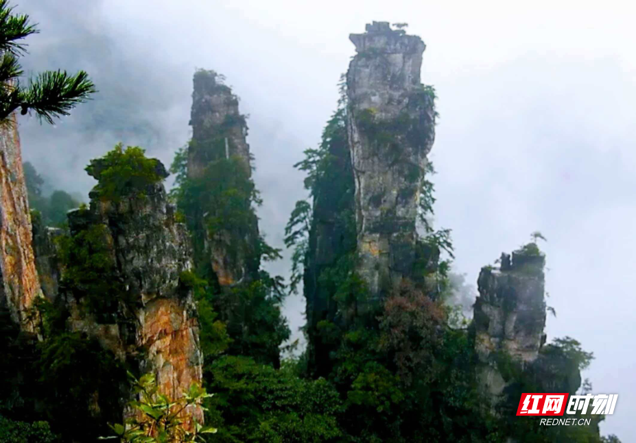 1777180221149578.png a8cdffa0315d0a6a9121f8fed7e0d8f5.png