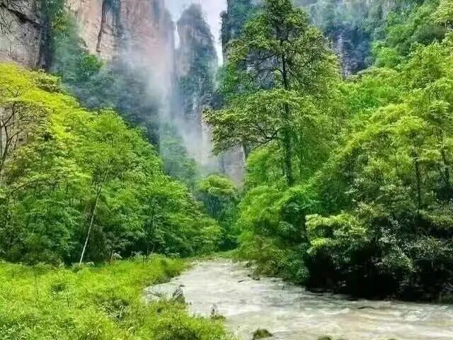 1777180373464355.jpg fa1634843f2668ed5e6f3d0f179af374.jpg