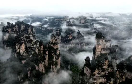 1777180653215546.jpg 7074f51100badc8d63d8b5bf17ed77a8.jpg