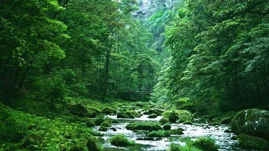 1777180680188005.jpg e27513d5be96e51f6cc7ff3e1cc8d432.jpg