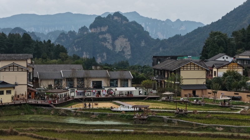 龙尾巴社区.jpg