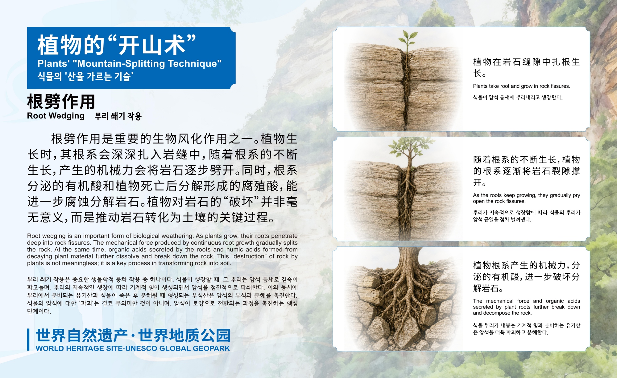20250525 金鞭溪 地质牌_28(1).jpg