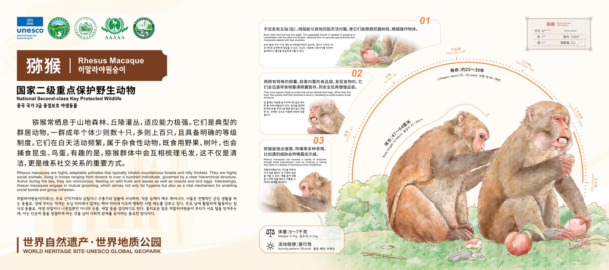 66-兽类_05.jpg