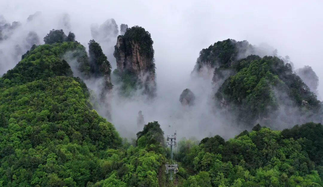 “热映”引“热游”张家界世界地质公园推出五条“影视+旅游”文旅线路