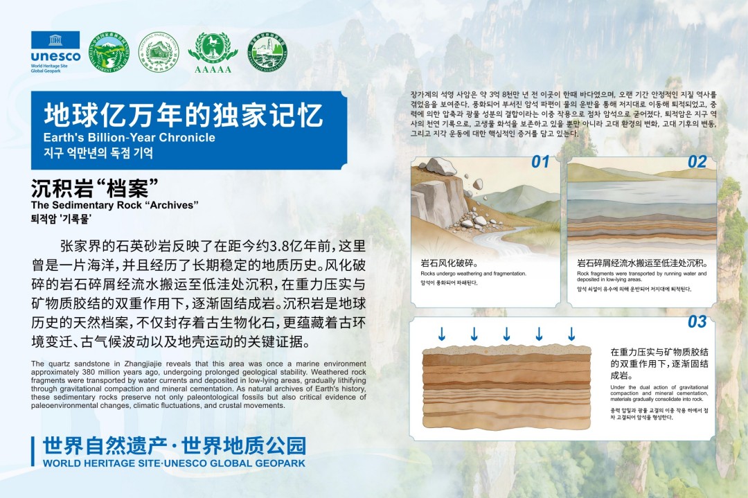 【地质小知识】沉积岩